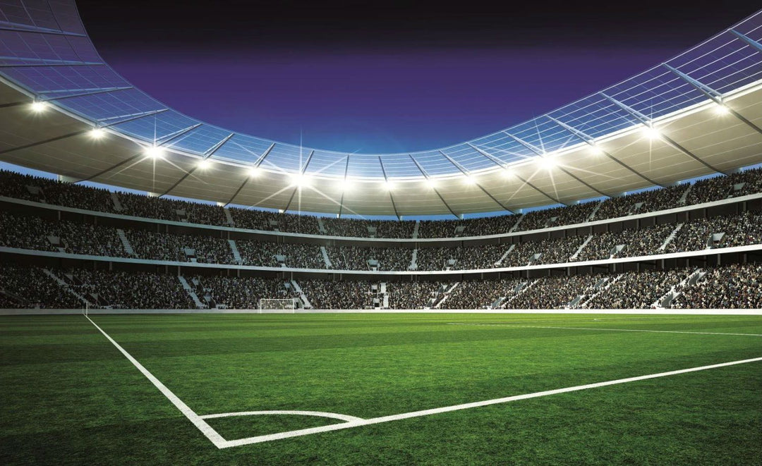The LED sports lighting industry is undergoing significant changes in the global sports landscape.