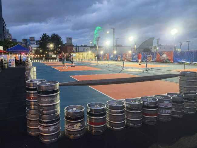 Outdoor Pickleball Court Lighting Case Study