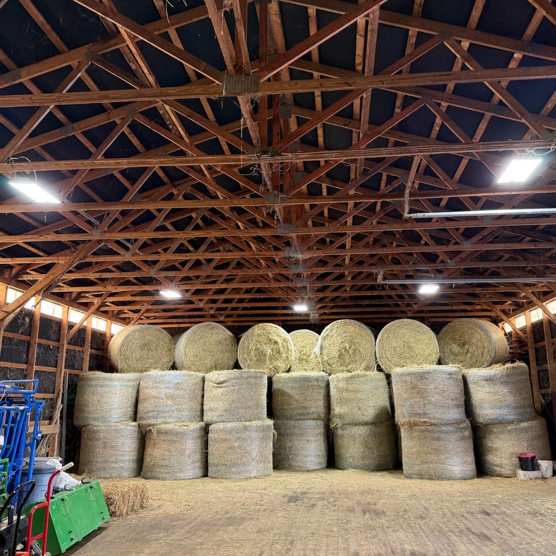 How to Select Wattage, Beam Angle, and Mounting for Linear High Bay Applications