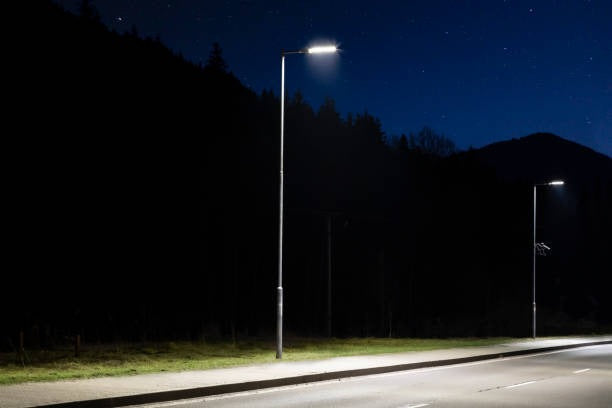 What do the Type III/IV/V light distribution curves of ZC Lighting LED area lights mean?