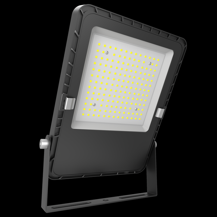 LED Flood Light FL06